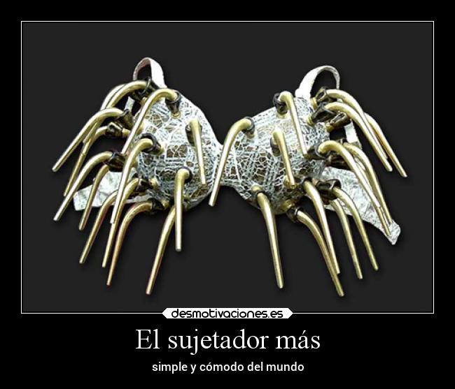 el sujetador mas comodo del mundo