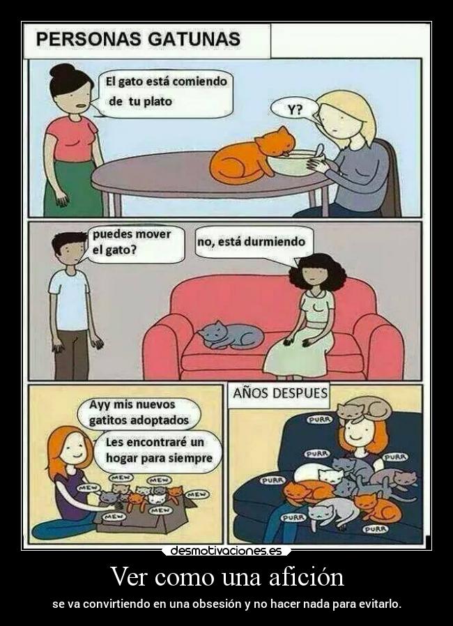 Ver como una afición -