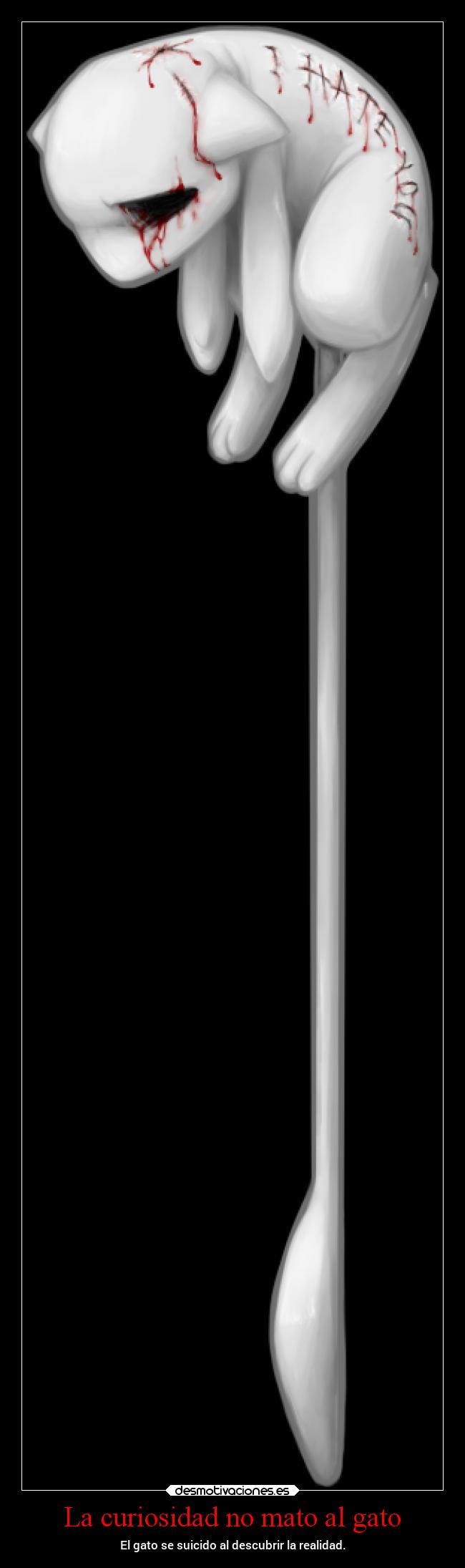 La curiosidad no mato al gato -