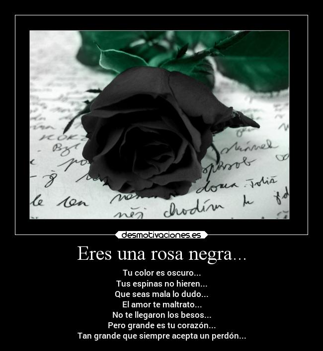 carteles sentimientos una persona que siente rosa negra desmotivaciones