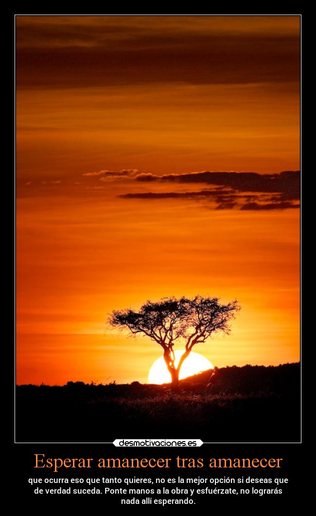 Esperar amanecer tras amanecer - que ocurra eso que tanto quieres, no es la mejor opción si deseas que
de verdad suceda. Ponte manos a la obra y esfuérzate, no lograrás
nada allí esperando.