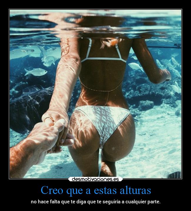 Creo que a estas alturas - 