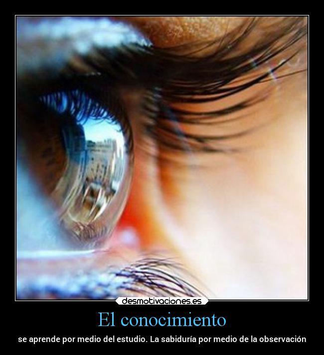 El conocimiento - se aprende por medio del estudio. La sabiduría por medio de la observación