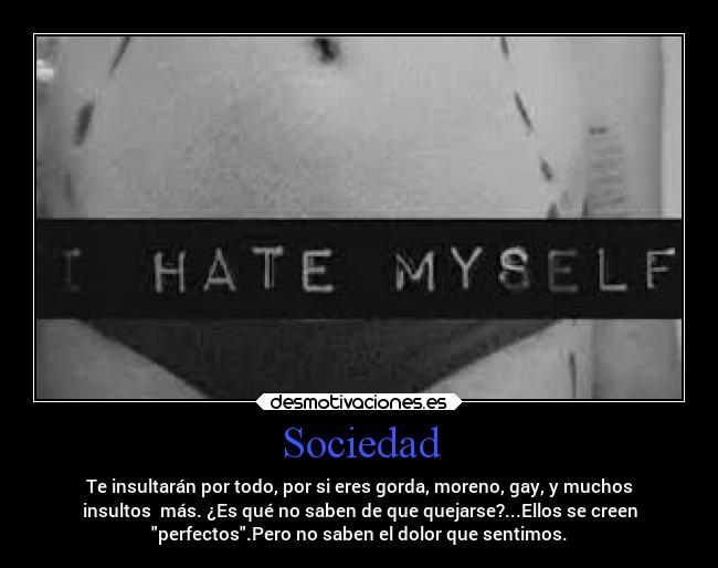 Sociedad - 