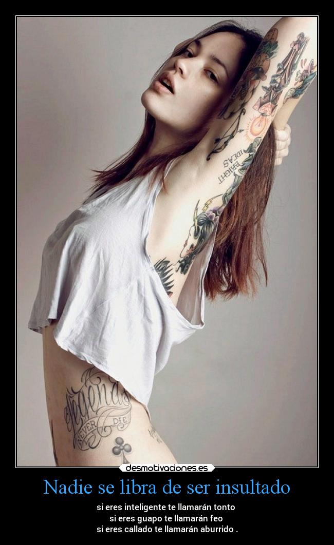 carteles sociedad vida tristeza tonto insultos dingoo manada32 desmotivaciones