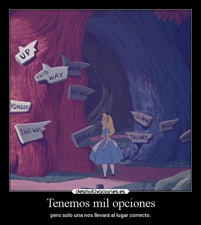 Tenemos mil opciones - pero solo una nos llevará al lugar correcto.