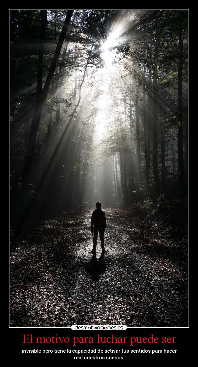 El motivo para luchar puede ser - 