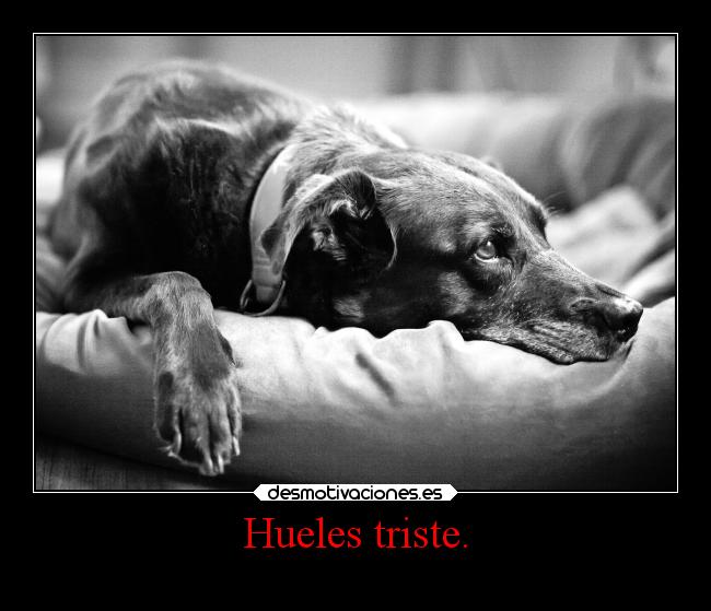 Hueles triste. -