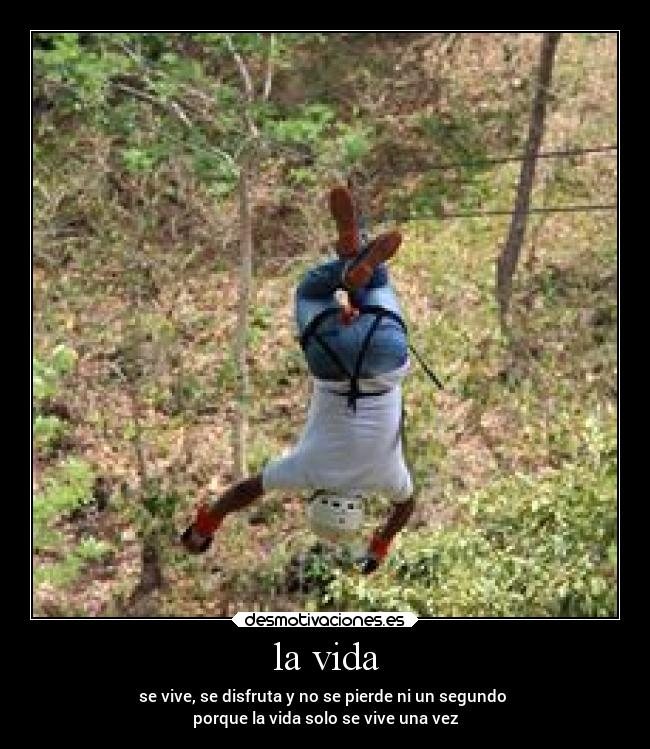 carteles vida alegria desmotivaciones