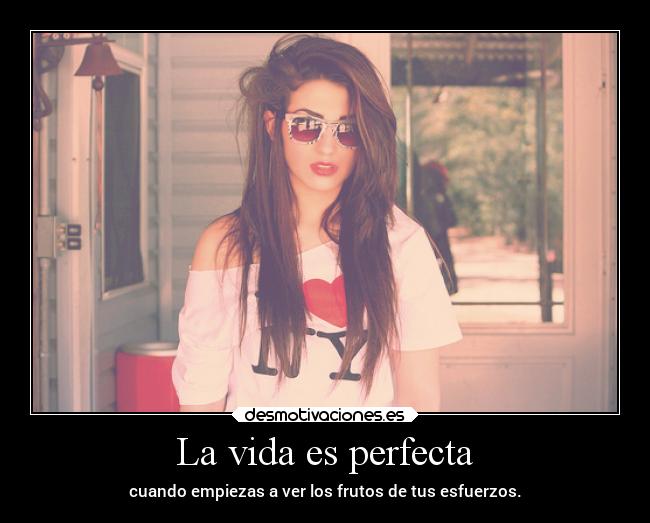 carteles vida alegria examenes escuela motivaciones pensamientos vida desmotivaciones