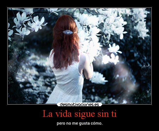 carteles vida alma fotografo bphotor desmotivaciones