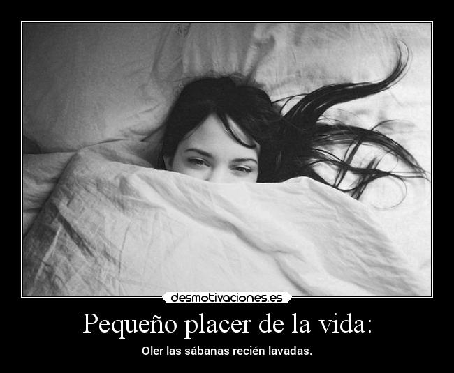 carteles vida amistad amor mundo vida felicidad raptorhunters tumblr placer verdad olor limpieza desmotivaciones