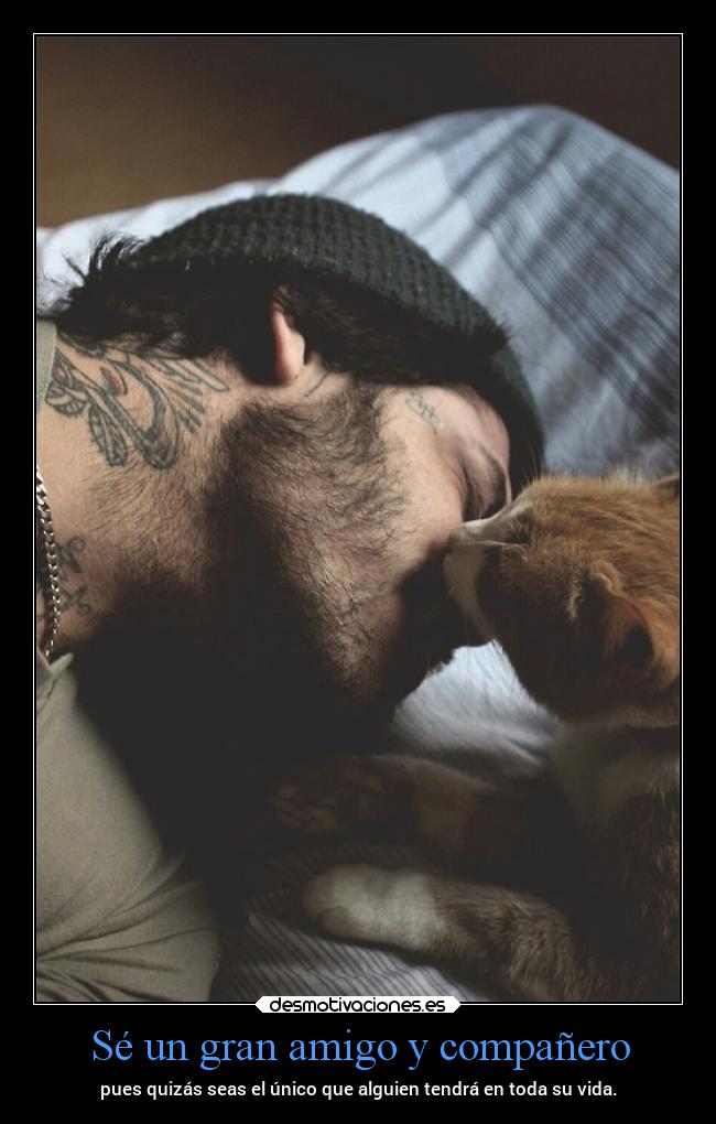 Sé un gran amigo y compañero - 