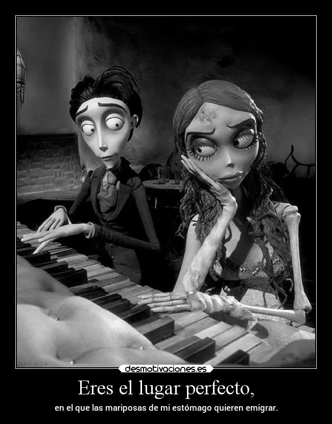 Eres el lugar perfecto, -