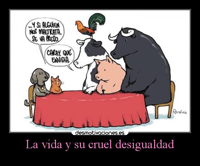 La vida y su cruel desigualdad -