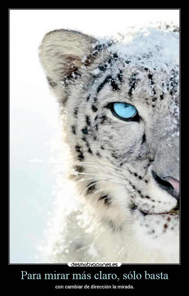 carteles vida btr221 mirar claro direccion desmotivaciones