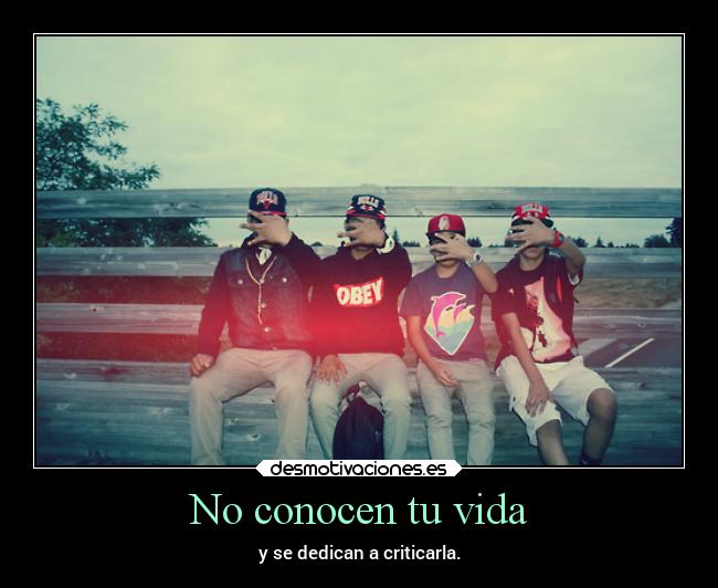 carteles vida vida conocen dedican criticarla desmotivaciones