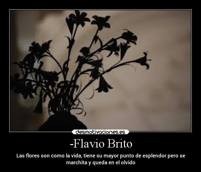 -Flavio Brito - Las flores son como la vida, tiene su mayor punto de esplendor pero se
marchita y queda en el olvido