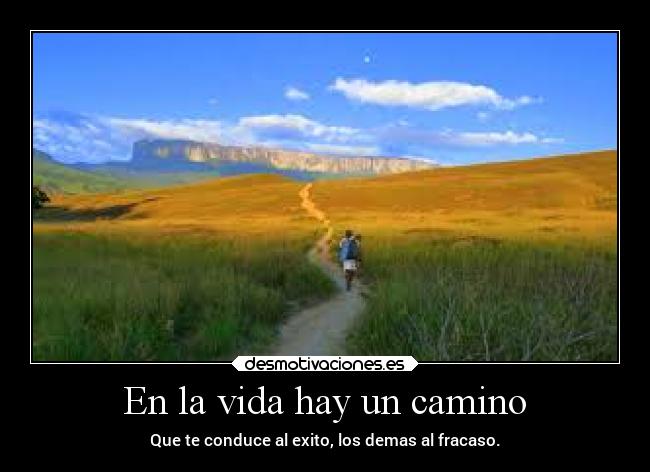 carteles vida vida desmotivaciones