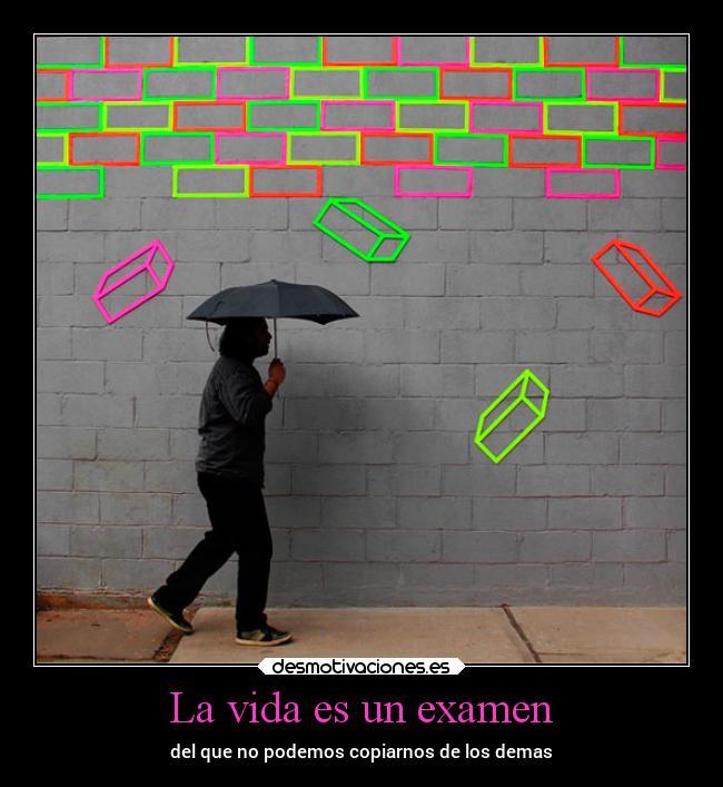La vida es un examen - 