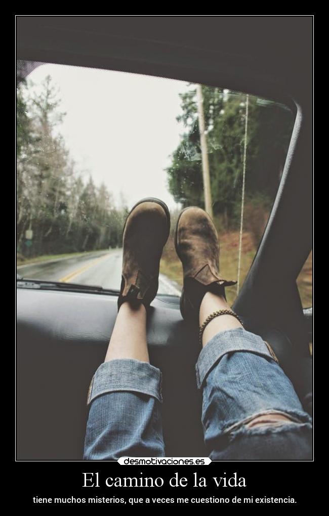 El camino de la vida -