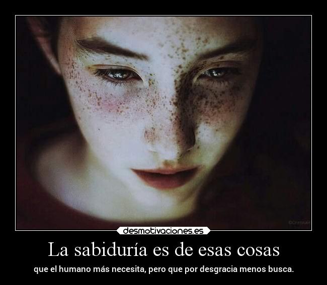 La sabiduría es de esas cosas -