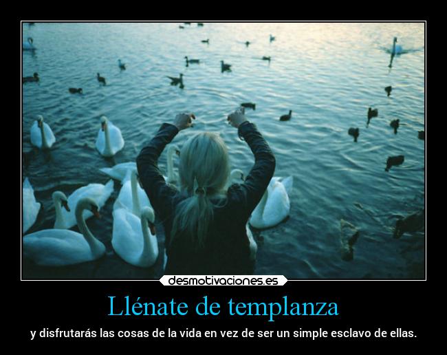 carteles vida desmotivaciones clandesplazado soyunidiotatm projectd manada32 desmotivaciones