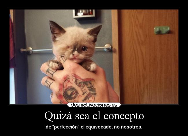 carteles vida enunrincondemimente loquenecesitamosesalgodepanico makemewannadie perfeccion desmotivaciones