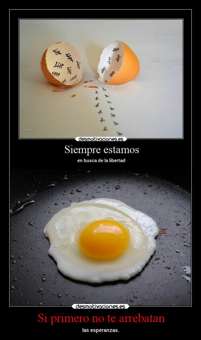 Si primero no te arrebatan - 