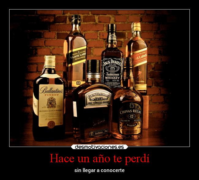 Hace un año te perdí -