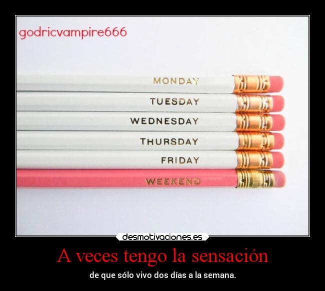 carteles vida godricvampire666 mortals unicorniosrosasyazules desmotivaciones