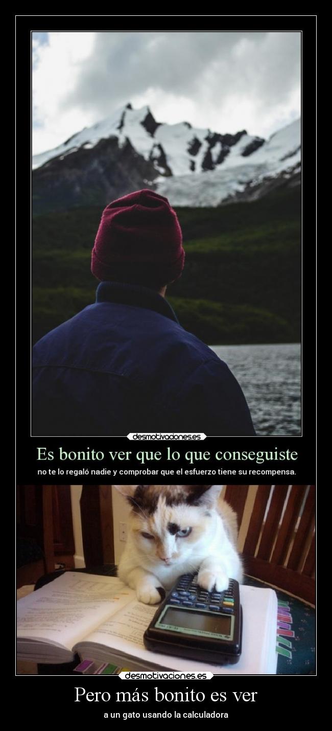 Pero más bonito es ver - a un gato usando la calculadora