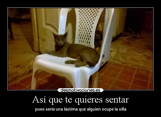 carteles vida memes humor graciosas gatos desmotivaciones
