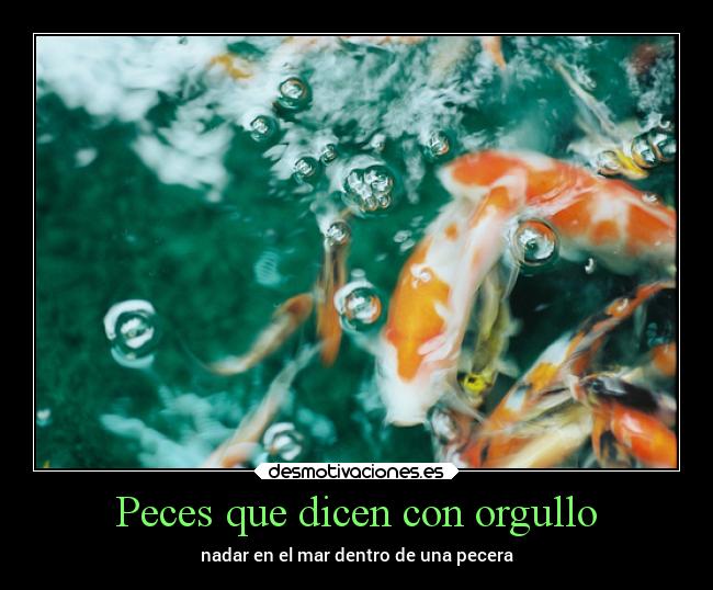 carteles vida metafora extrana pingpong enunrincondemimente loquenecesitamosesalgodepanico kois peces desmotivaciones