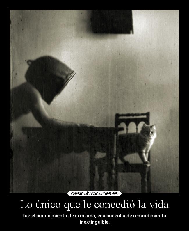 carteles vida muerte amm joseph conrad panpropanbutan desmotivaciones