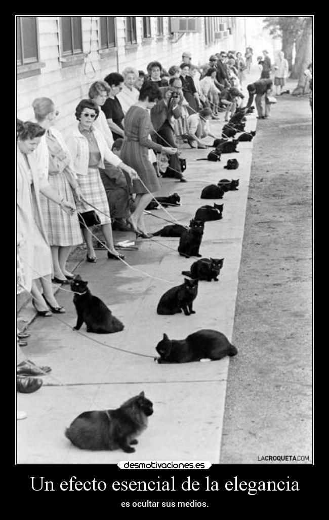 Un efecto esencial de la elegancia - es ocultar sus medios.