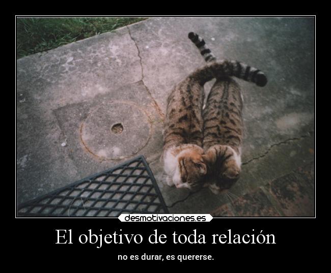 El objetivo de toda relación - no es durar, es quererse.