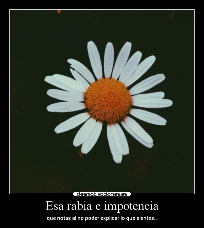 carteles vida rabia impotencia nator explicar sentir desmotivaciones