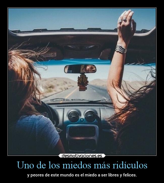 carteles vida sentimientos miedo motivaciones libertad amor amigos amistad alegria desmotivaciones