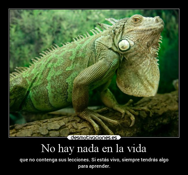 No hay nada en la vida - 