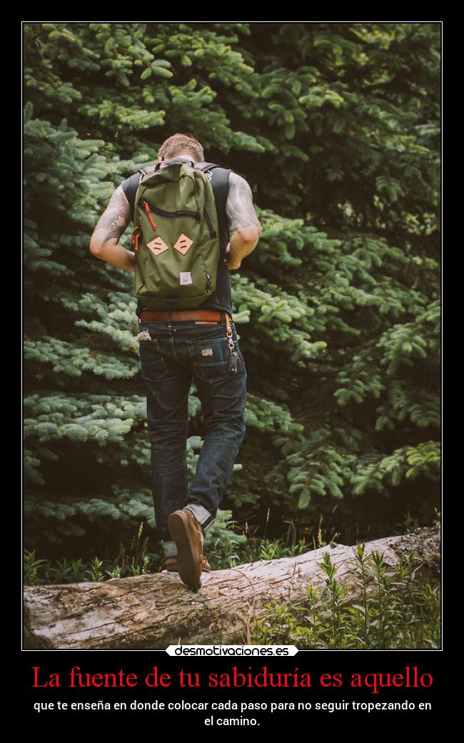 carteles vida tropiezos camino boy forest thesmokingpoet desmotivaciones