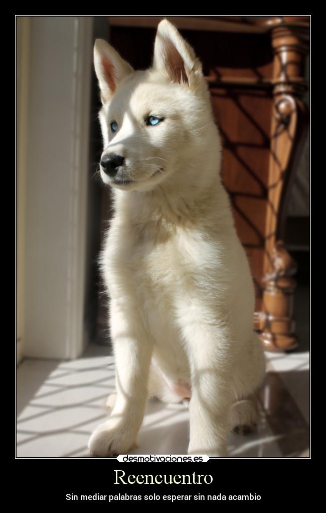 Reencuentro - Sin mediar palabras solo esperar sin nada acambio