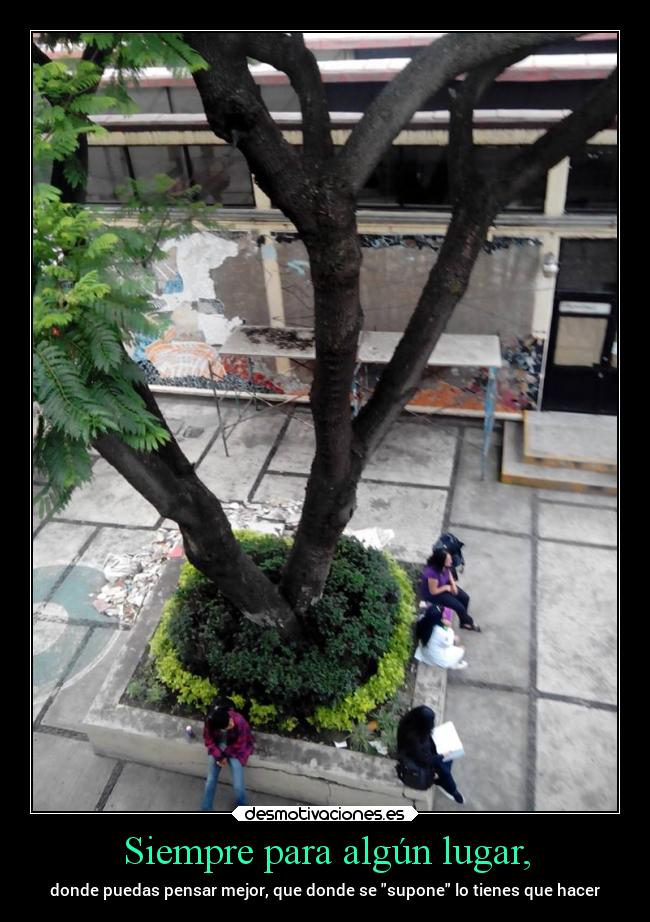 carteles abrazos vida desmotivaciones