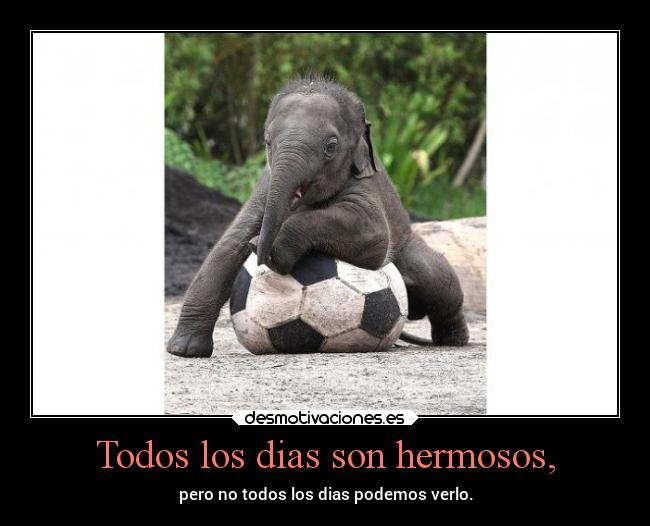 Todos los dias son hermosos, - pero no todos los dias podemos verlo.