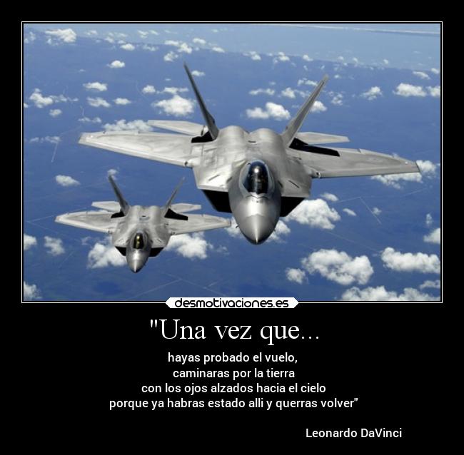 carteles alegria das avion f22raptor frasecelebre leonardodavinci desmotivaciones