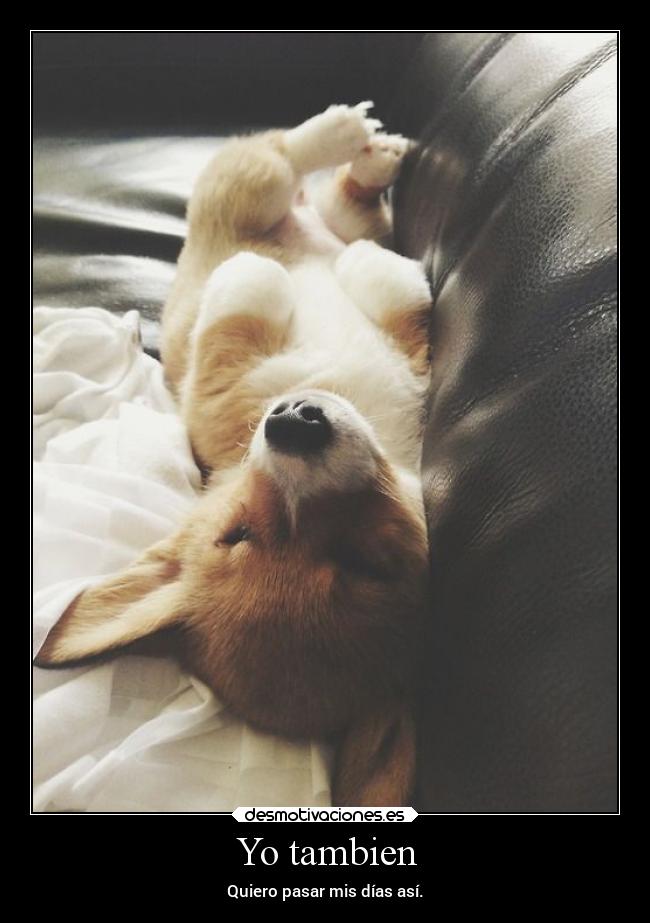 Yo tambien - Quiero pasar mis días así.