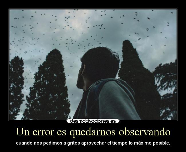 Un error es quedarnos observando - cuando nos pedimos a gritos aprovechar el tiempo lo máximo posible.