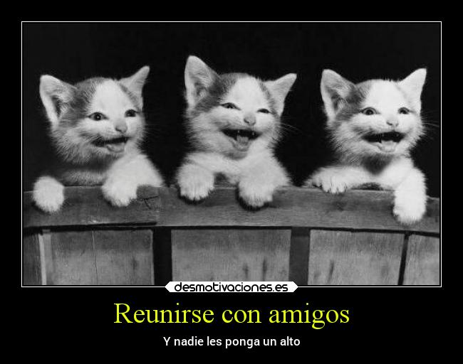 Reunirse con amigos -