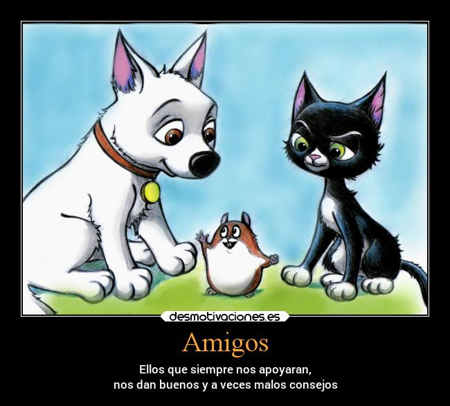 Amigos -
