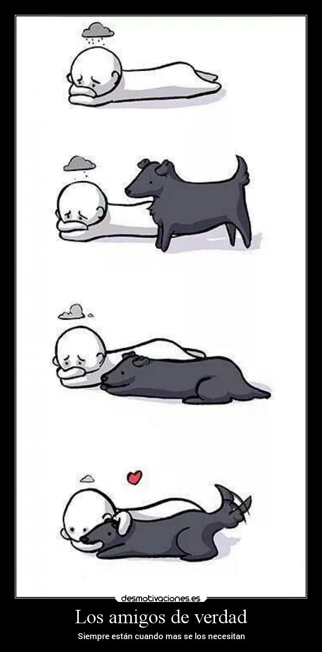 carteles amigos amor amigos perro carino triste compania desmotivaciones